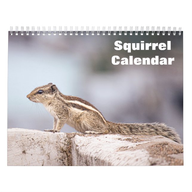 Eichhörnchenkalender 2025 kalender (Titelbild)