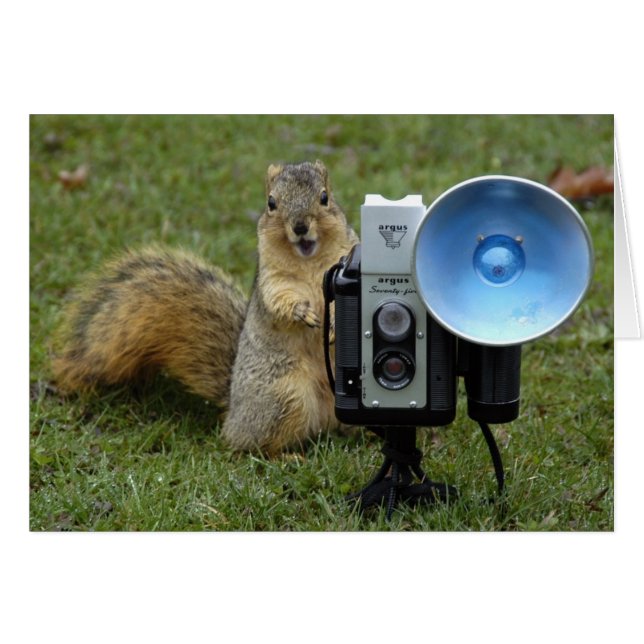Eichhörnchenkarte groß (Vorderseite (Horizontal))