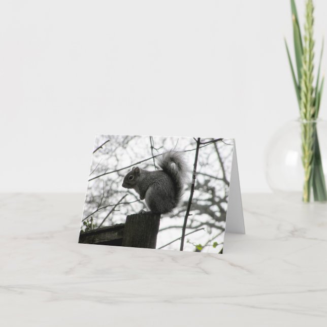 Eichhörnchenkarte Karte (Vorderseite)