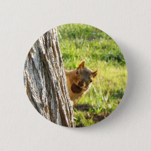 Eichhörnchenknopf Button