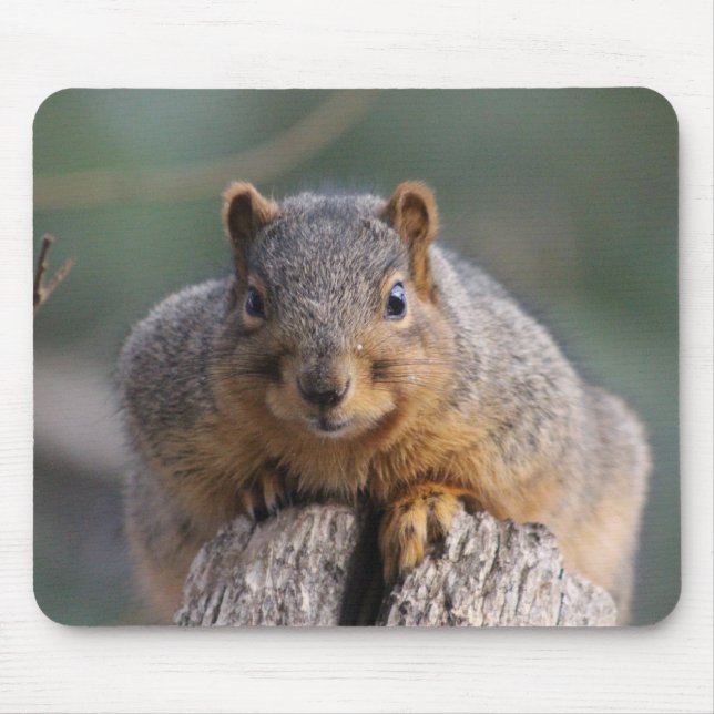 Eichhörnchenmousepad Mousepad (Vorne)