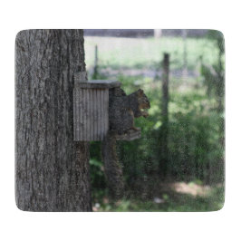 Eichhörnchenschneider Schneidebrett