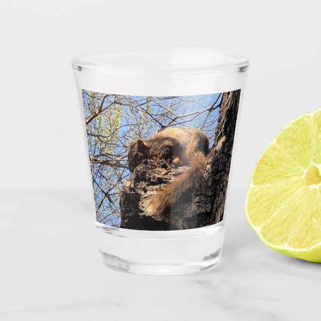 Eichhörnchenschuss Schnapsglas (Vorderseite)