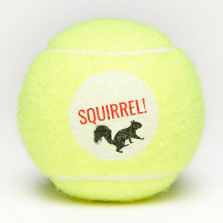 Eichhörnchentennis BallSet von 3 Tennisbälle