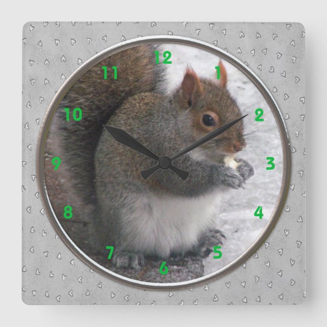 Eichhörnchenuhr Quadratische Wanduhr (Vorderseite)