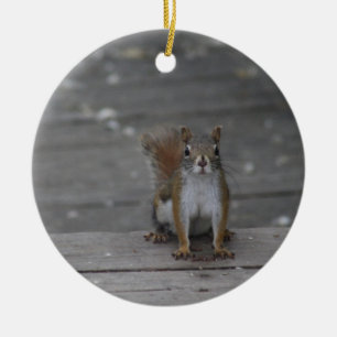 Eichhörnchenverzierung Keramikornament