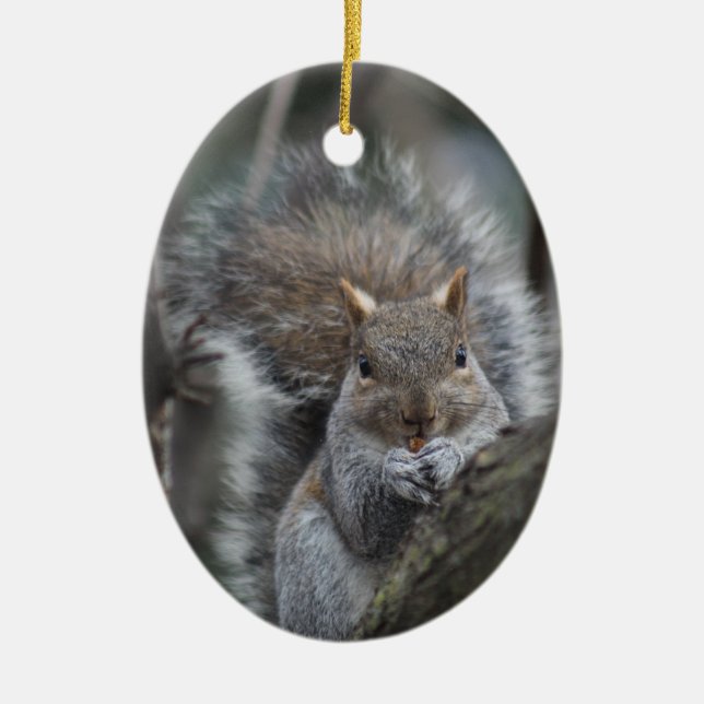Eichhörnchenverzierung Keramikornament (Vorne)