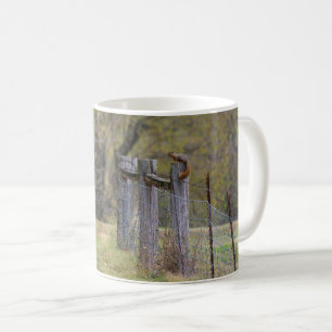 Eichhörnchenzäune Pose Kaffee Tasse