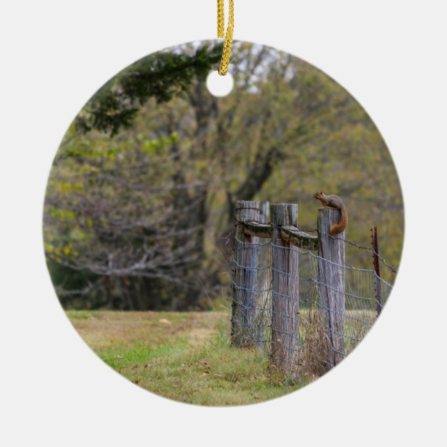 Eichhörnchenzäune Pose Keramik Ornament (Vorne)