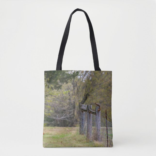 Eichhörnchenzäune Pose Tasche (Vorderseite)