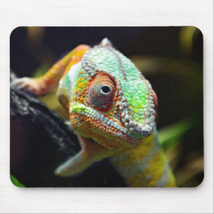 Eidechsen, Reptilien Mousepad