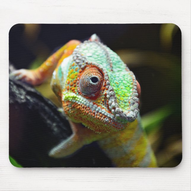 Eidechsen, Reptilien Mousepad (Vorne)