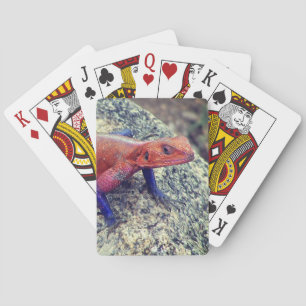 Eidechsen-Spielkarten Spielkarten