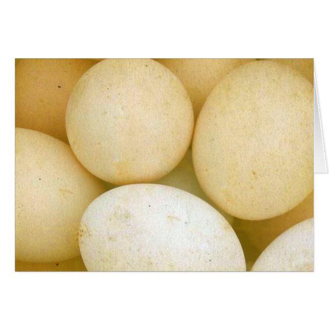 Eier (Vorderseite (Horizontal))