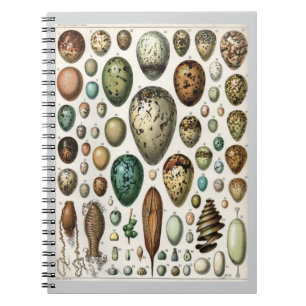 Eier - Adolphe Philippe Millot Notizblock
