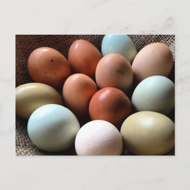 Eier aller Schatten Postkarte (Vorderseite)