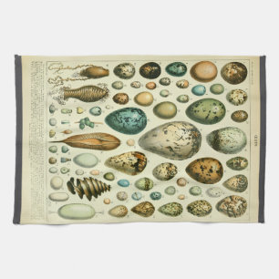 Eier antike Naturgeschichte Illustration Millot Geschirrtuch