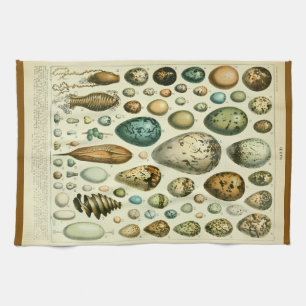 Eier-antike Naturgeschichte-Illustration Millot Geschirrtuch
