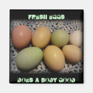 Eier machen einen Körper mit guten Magneten Magnet