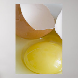 Eier Poster