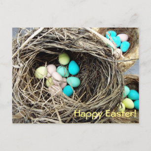 Eier von Pastel Oaster im echten Vogelnest-Foto Feiertagspostkarte