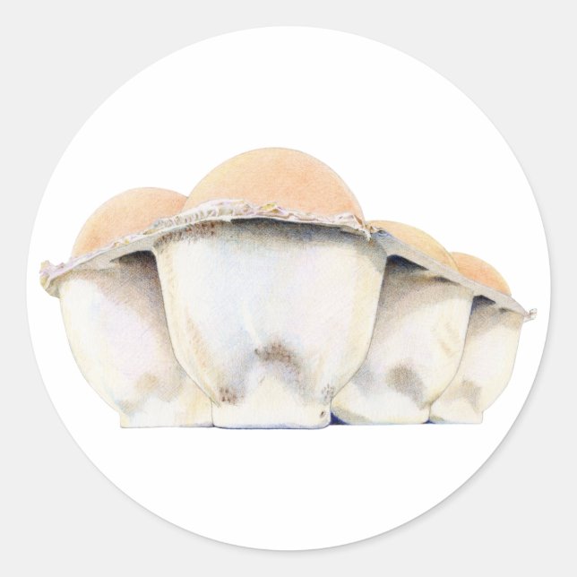 Eierkarton-Aufkleber Runder Aufkleber (Vorderseite)