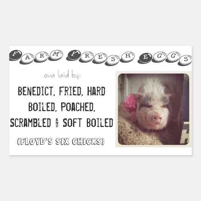 Eierkarton Rechteckiger Aufkleber (Vorderseite)