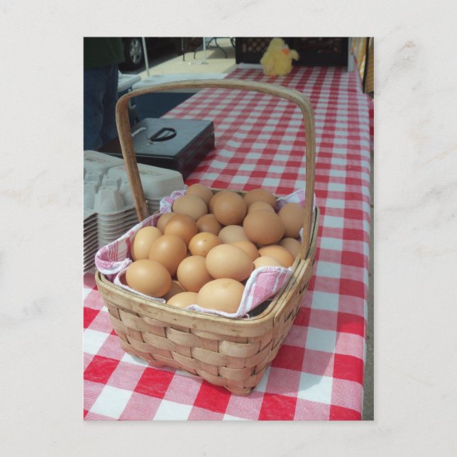 Eierkörbe Postkarte (Vorderseite)