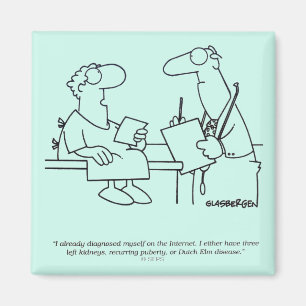 Eigendiagnose Magnet