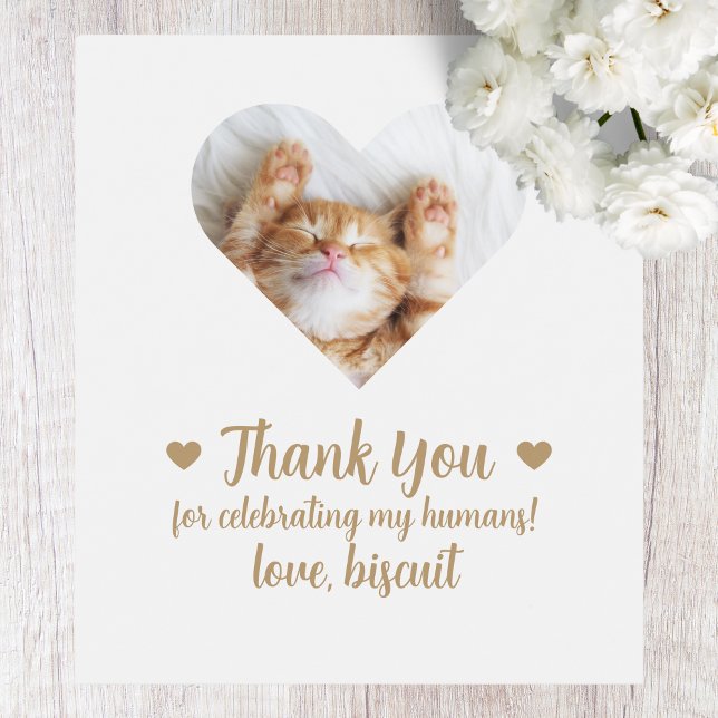 Eigene Foto Kat I do to Wedding Wine Label Weinetikett (Von Creator hochgeladen)