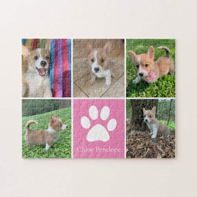 Eigene Hundfoto-Collage Hübsch rosafarbene Pet Pfo (Horizontal)