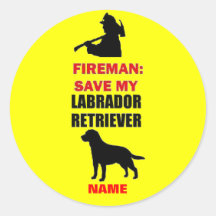 Eigene Rett meines Labrador Retriever