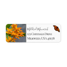 Eigene Schmetterlingsabfall-Foto-Wildblume