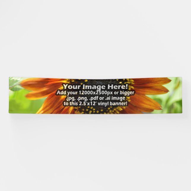 Eigener, bedruckter Vinyl, Vollfarbdruck 12' breit Banner (Horizontal)