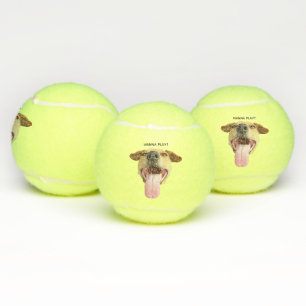 Eigener Funny Wanna Spielhund Tennisbälle