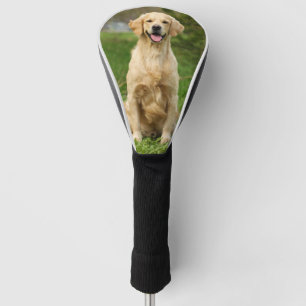 Eigenes Foto für Hunde Golden Retriever Golf Headcover