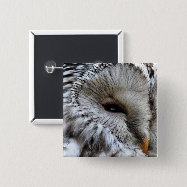 EIGENSCHAFT BUTTON (Vorne & Hinten)