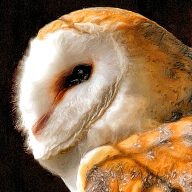 EIGENSCHAFT MAGNET (A beautiful soft artistic watercolor of a Barn Owl.)