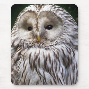 EIGENSCHAFT MOUSEPAD