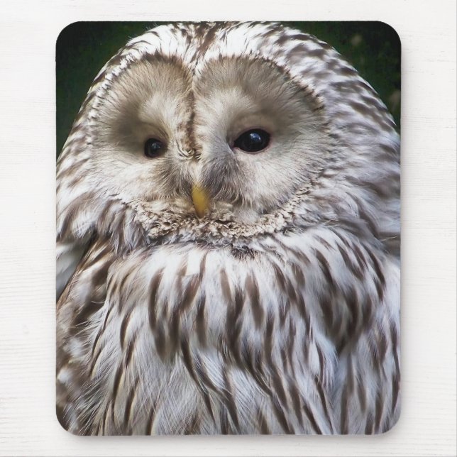 EIGENSCHAFT MOUSEPAD (Vorne)