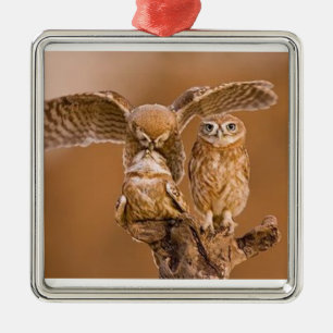 EIGENSCHAFT ORNAMENT AUS METALL