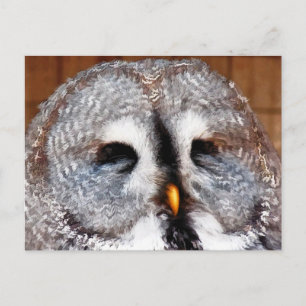 EIGENSCHAFT POSTKARTE