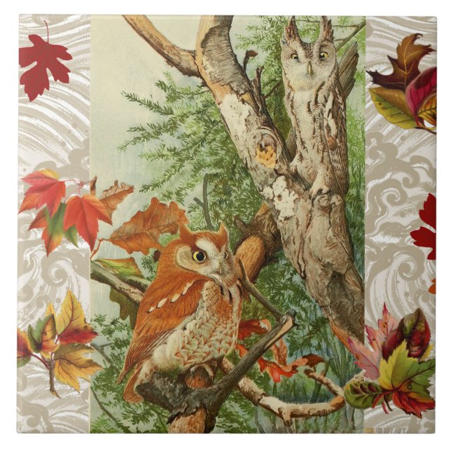 EIGENSCHAFTEN ZWISCHEN HERBSTLAUBEN IN WOODLAND FLIESE (Vorderseite)
