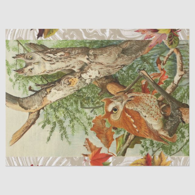 EIGENSCHAFTEN ZWISCHEN HERBSTLAUBEN IN WOODLAND SEIDENPAPIER (Vorderseite)