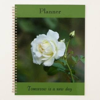 Eigenständige Rose Planer