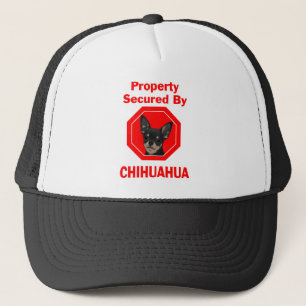 Eigentum gesichert durch Chihuahua Truckerkappe