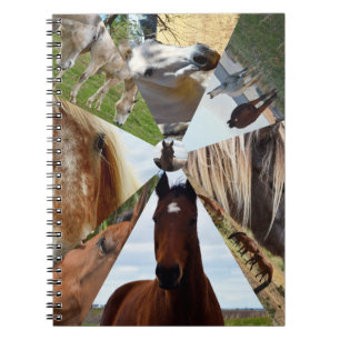 Eight Horse Dreiecke, Notebook Notizblock
