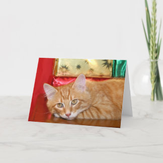 Eile Weihnachten