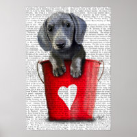 Eimer der Liebe Dackel Welpe