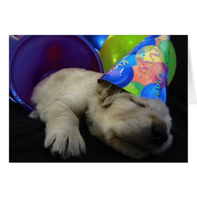 Eimer-Rubin (Vorderseite (Horizontal))